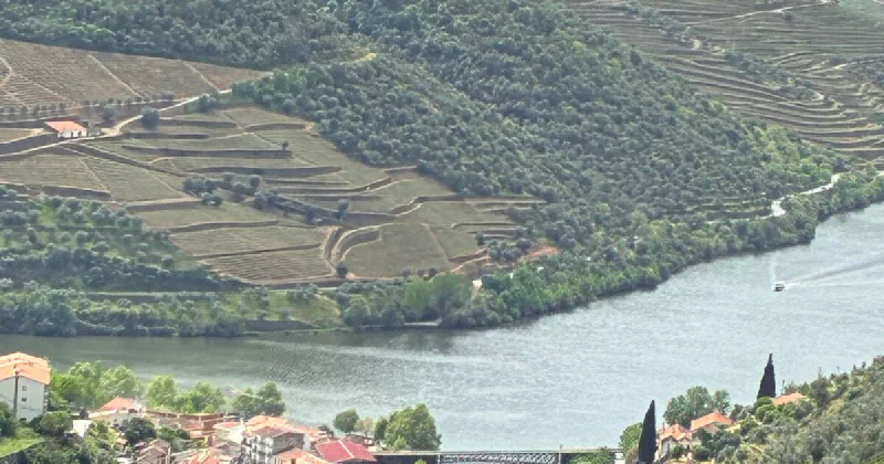 I Didn't Go to Portugal for Work. That's Exactly Why It Made Me Better at My Job.